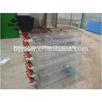 Birds Wire Mesh Quail Cages